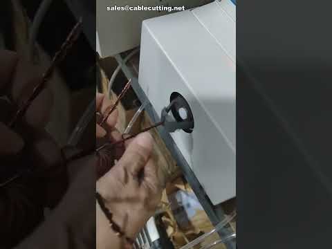 Wire Twisting Machine for 3 x 2.0mm Copper Wires | Factory Automation