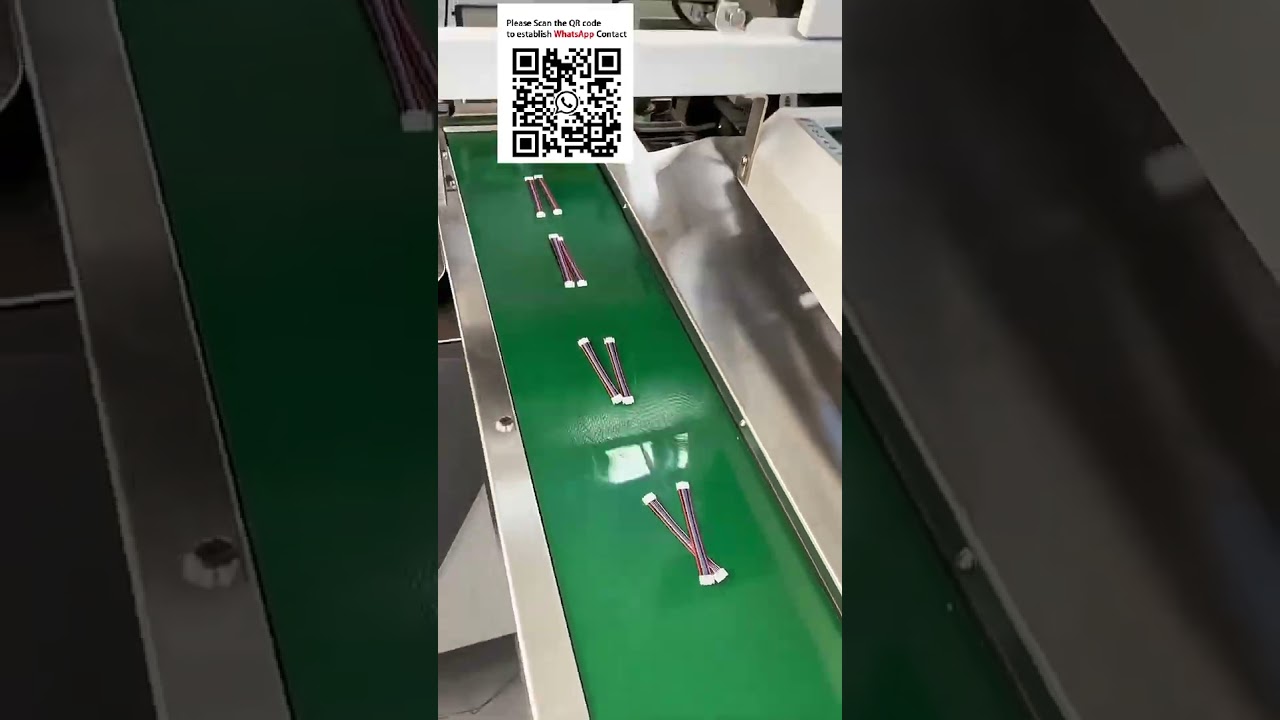 Automatic Multi Wire Double End Housing Insertion Machine RibbonElectronic Wire #EV Harness Equip