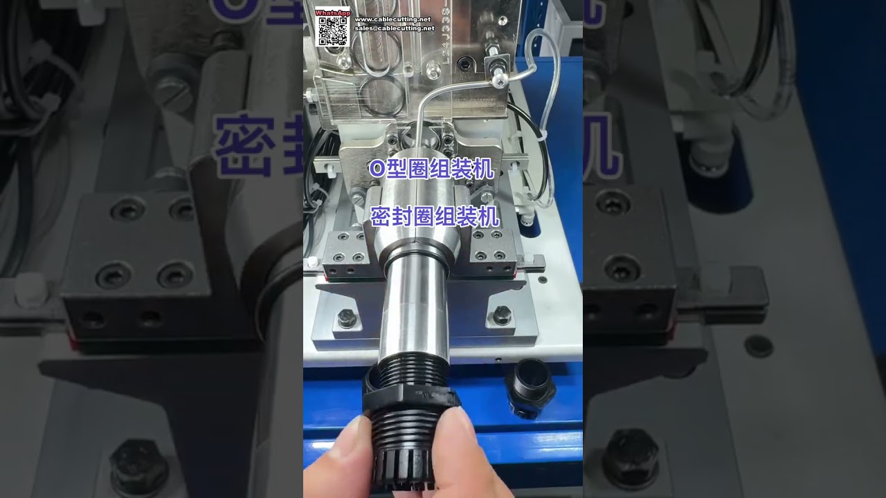 Highly Efficient Automatic Assembly Machinery for O Rings and Oil Seal Components - Shorts