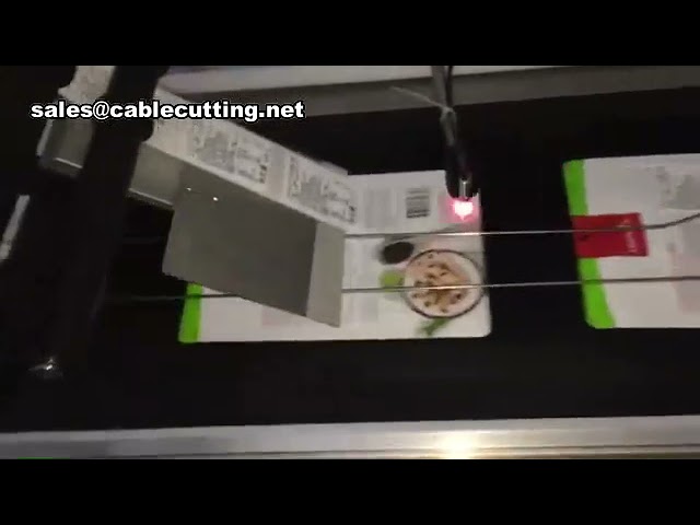 Automatic Flat Bag Labeling Machine for Plastic Bags and Packaging