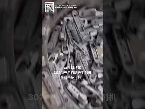 Hardware Lock Sanding and Deburring Machine for Furniture Accessories Production - Video