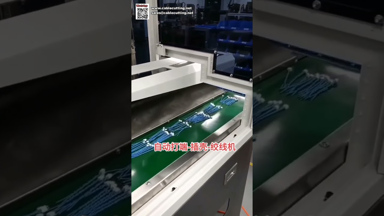 Customized Automatic Terminal Crimping and Connector Housing Insertion Machine Supplier - Shorts