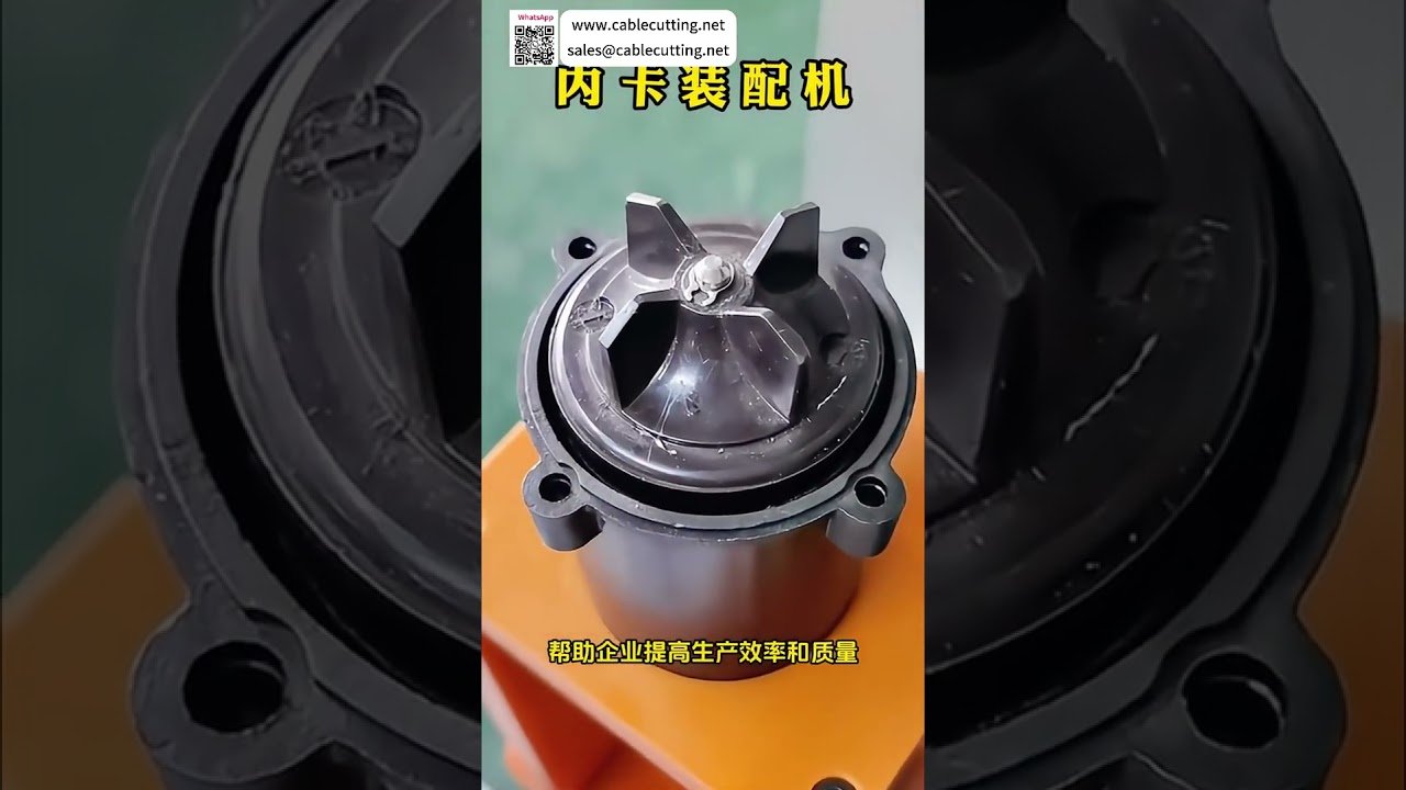 Leading Circlip Assembly Equipment Manufacturer Precision Industrial Machinery Production Line - Shorts