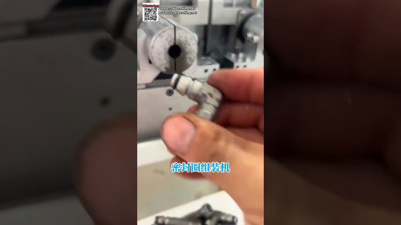 Direct Factory Production Equipment for High Quality Rubber O Ring Seals Manufacturing - Shorts