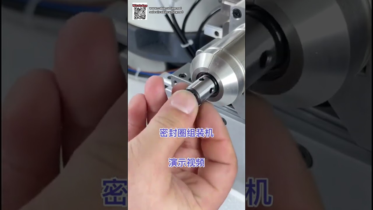 Automatic O Ring Assembly Machine for Pneumatic Components and Sealing Solutions