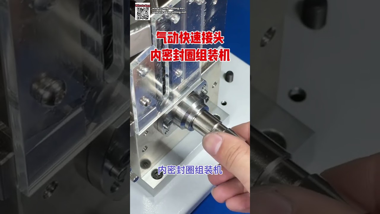 High Efficiency Automated Assembly Machine for O Rings and Oil Seal Components - Shorts