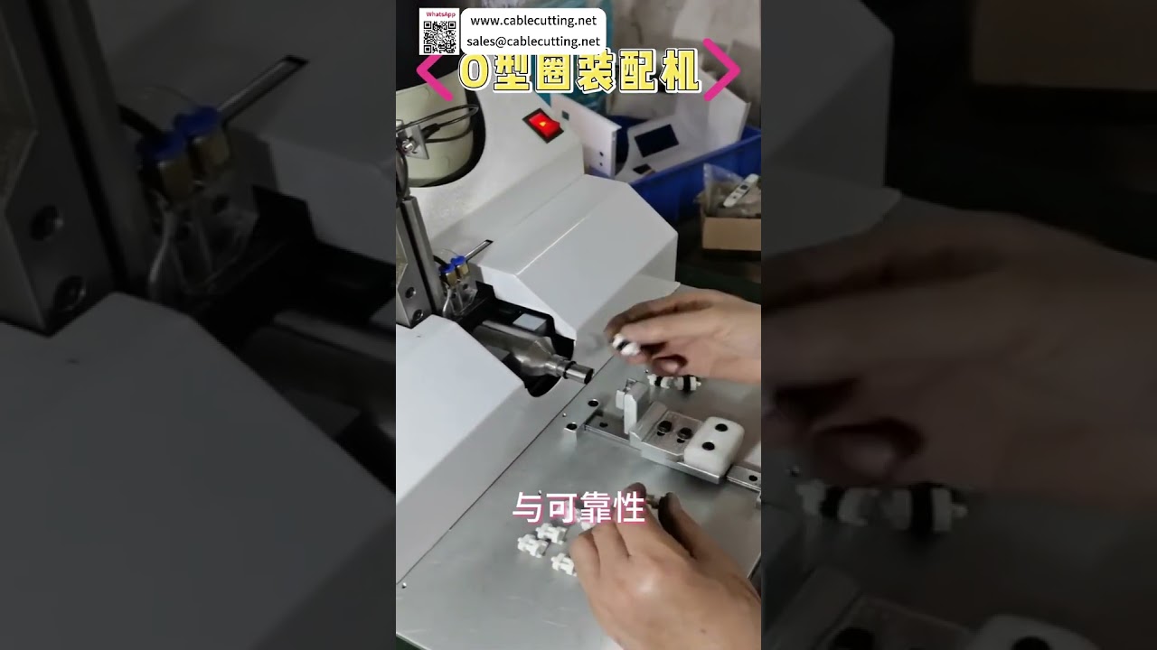 Smart and Efficient O Ring Assembly Machine Automated Manufacturing Sealing Equipment Supplier