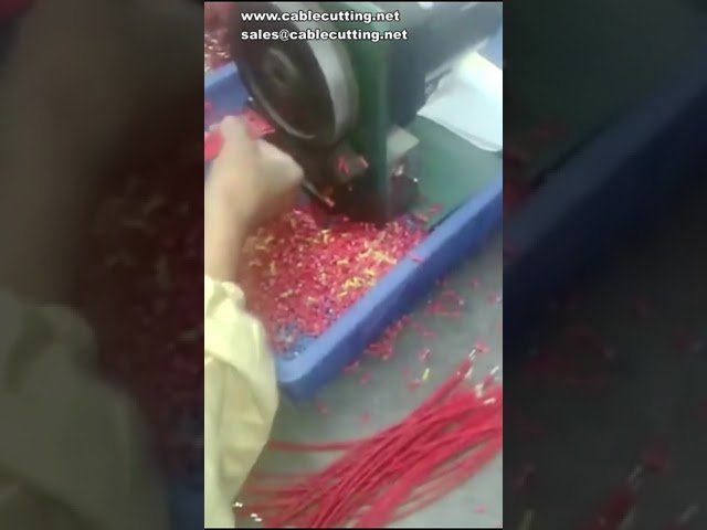 100-T Half Stripping and Twisting Machine | Wire Peeling and Twisting Automation