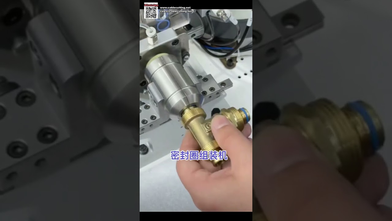 Fully Automatic O Ring Seal Assembly Machine Equipment for Automotive Components - Shorts