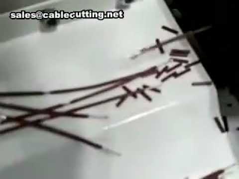 Automatic Wire Stripping and Cutting Machine with Twisting Function | WPM-85-40