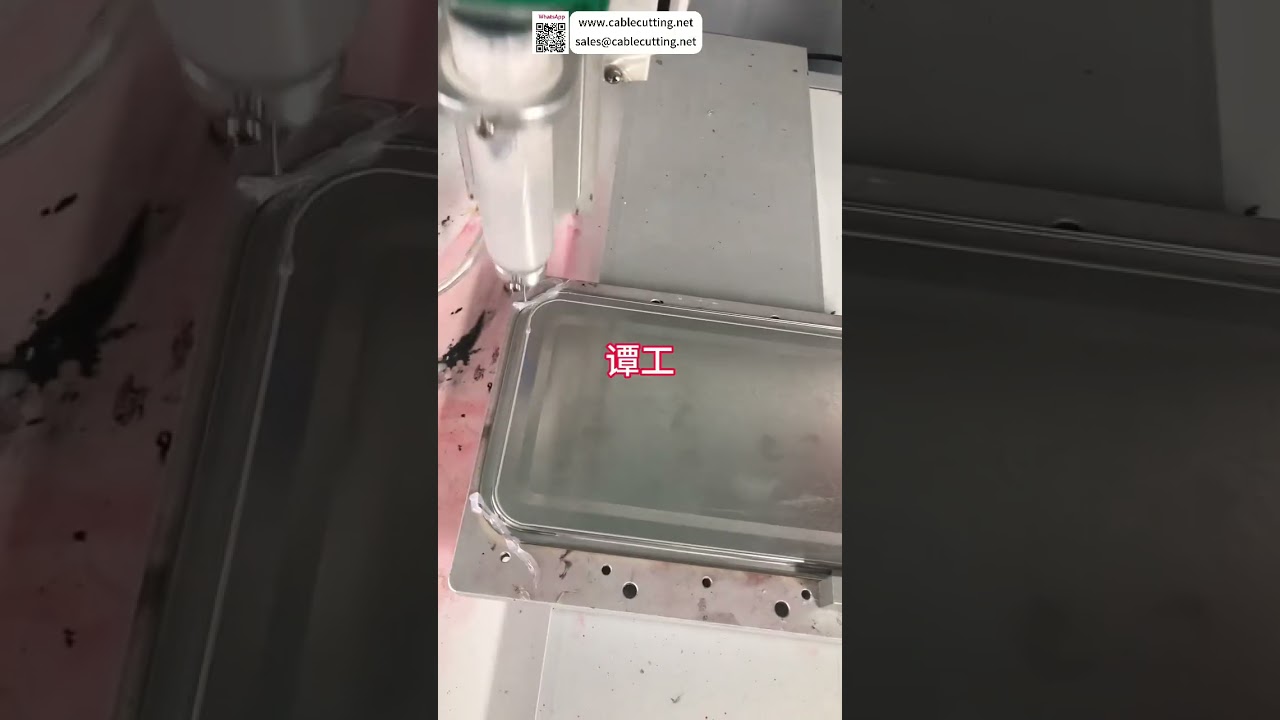 Automatic Glue Dispensing Machine Sample Test  Factory Automation System  Fast Production