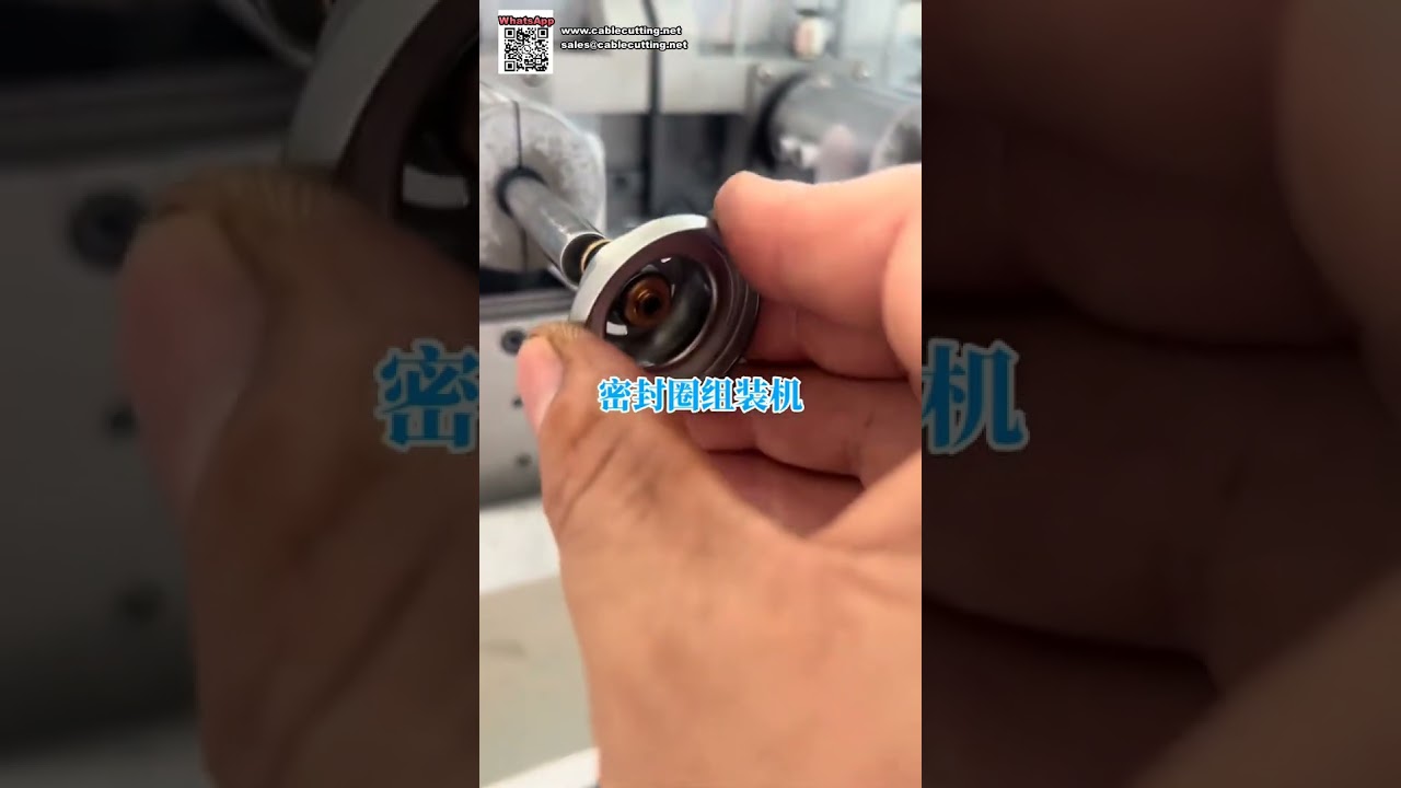 Automated Production Machinery for O Ring Seals and Hardware Accessories Manufacturing