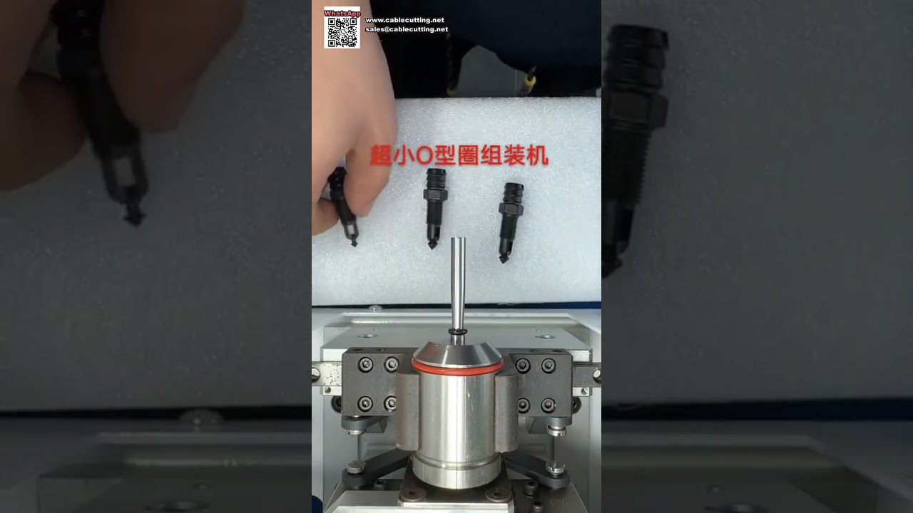 High Volume Automatic O Ring Seal Assembly Machine for Oil Sealing Components Production - Shorts