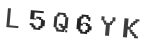 Verification Code Image